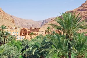 Excursion Moto : Ouarzazate ➔ Gorges du Todra (1 Journée)