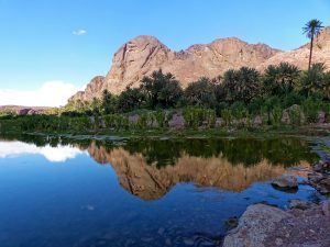 Excursion d’une journée depuis Ouarzazate à Zagora désert