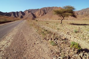8 days off-road motorcycle tour from Marrakech
